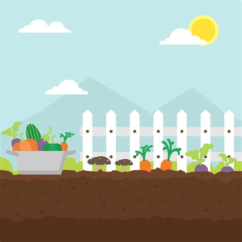 Vegetable Garden Illustration 202048 Vector Art At Vecteezy