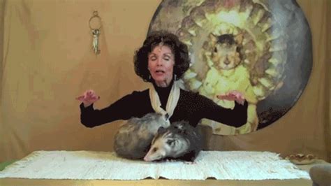 Meet The Opossum Lady The Undisputed Queen Of Youtube