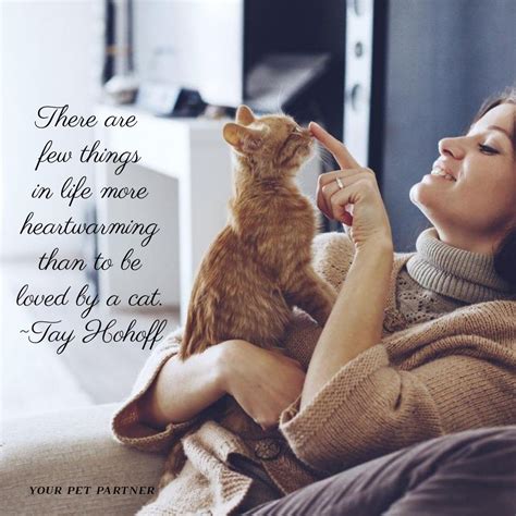 Cat Lovers Quote Cat Lover Quote Cats Cat Lovers