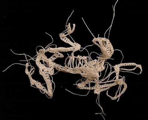 Decaying Animal Skeletons Crocheted From String By Artist Caitlin