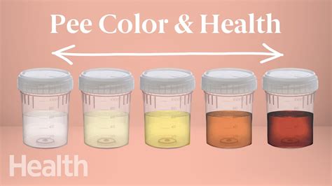 What Your Urine Color Says About Your Health Urinary System Breakdown