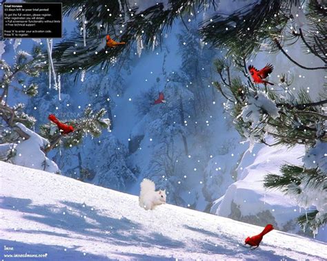 49 Winter Mountain Screensavers And Wallpaper Wallpapersafari