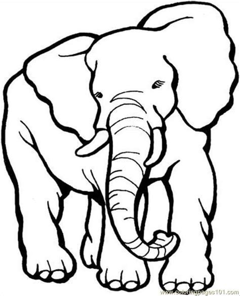 Gran Elefante Para Colorear Imprimir E Dibujar ColoringOnly