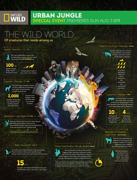 National Geographic Infographics Diseño De Información Infografia