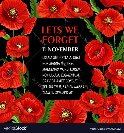 Remembrance Flowers Poppies Best Flower Site