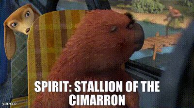 Yarn Spirit Stallion Of The Cimarron Open Season Scared Silly Video Clips By Quotes