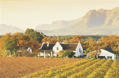 From Cape Town Stellenbosch Winelands Tour And Wine Tasting Getyourguide