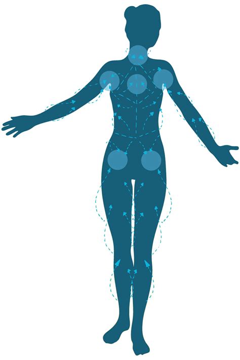 The Lymphatic System — Ojai Lymphatic Therapy