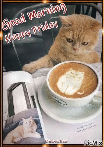 Cat Coffee Happy Friday Good Morning  Pictures Photos And Images