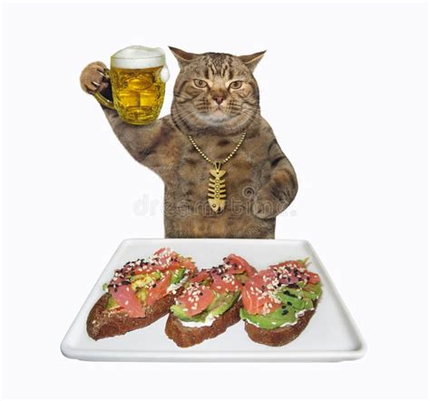 Cat Eats Sandwiches With Beer Stock Photo Image Of Avocado Open