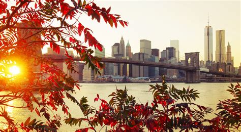 Fall City New York City Sunlight Bridge Leaves Wallpapers Hd