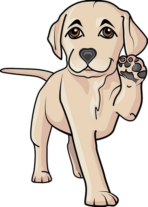 Labrador Puppy Clipart Free Download Transparent Png Creazilla