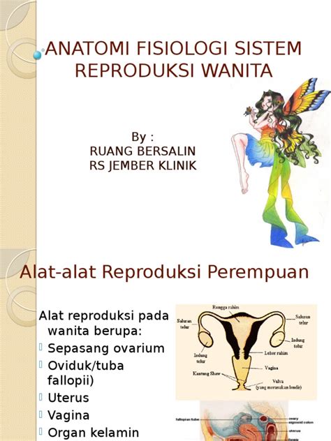 Pdf Ppt Anatomi Fisiologi Sistem Reproduksi Wanita Dokumen Tips