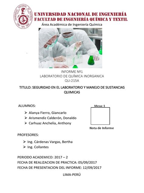 Caratula De Quimica Inorganica Para Informes Pdf