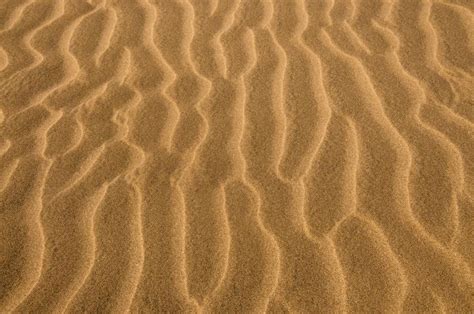 Desert Sand Texture