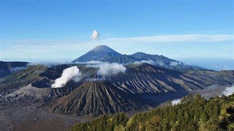 Para wisatawan dari luar kota bisa dengan mudah menemukan lokasi museum rasulullah menggunakan bantuan google maps atau aplikasi. Kuota Pengunjung Wisata Gunung Bromo Bertambah Jadi 40 ...