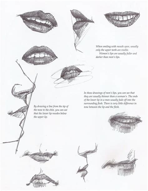 Drawing Tutorial. | Dibujos | Pinterest | Drawings, Tutorials and