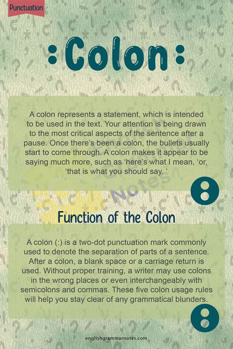 Colon What Exactly Is A Colon Functions And Uses Of A Colon