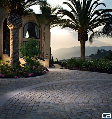 Beautiful Driveway And Palm Tree Installation We Did For A Client