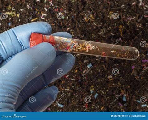 Microplastics In Soil A Test Tube With Soil Sample Stock Image Image