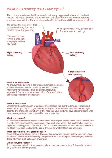What Is A Coronary Artery Aneurysm Portrait 01 Societi