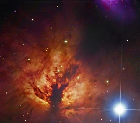 Ngc 2024 Flame Nebula And Ic 432 By Robert Gendler Star Image View
