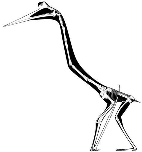 The Quetz Monograph Lives And Other News On Azhdarchid Pterosaurs