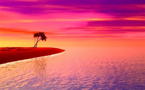 Hot Pink Beach Sunset Wallpaper Purple Beach Purple Sunset