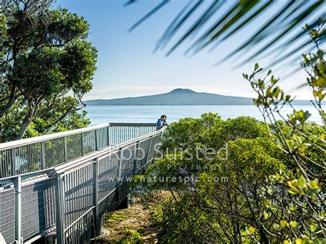 Hauraki Gulf And Rangitoto Island Lookout At Achilles Point Above