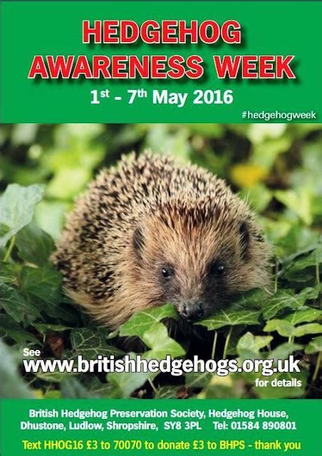 Liberal England Hedgehog Awareness Week 1 7 May 2016