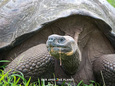 National Geographic Galapagos Tours Expedition Travel