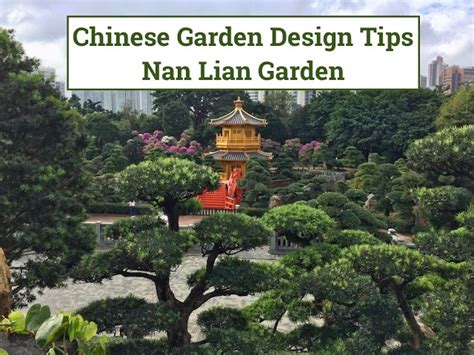 Chinese Backyard Design 75 Beautiful Asian Landscaping Pictures Ideas