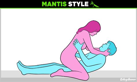8 Animal Based Sex Positions Other Than Doggy Style Album On Imgur
