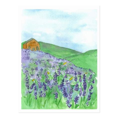 Honey Bee Lavender Field Cottage Postcard