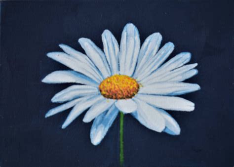 Maybe you would like to learn more about one of these? Daisy flower painting with dark blue background ...