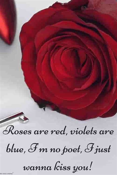 Red Rose Quotes Shortquotescc