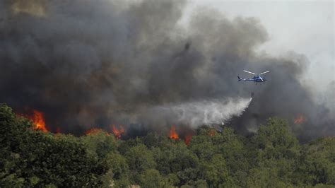 Incendios Forestales Dejan A 78 Agricultores Afectados En El Biobío