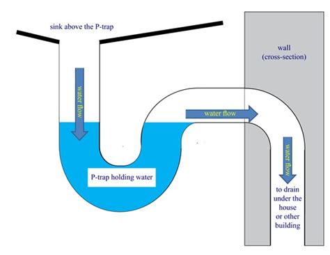 Plumbing Dry Gurgling From Shower Drain Love And Improve Life