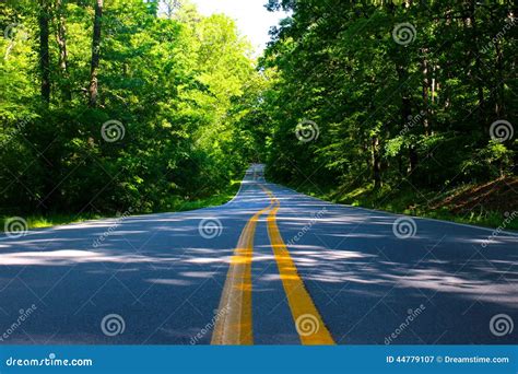 Lonely Road Stock Image Image Of Road Empty Trees 44779107