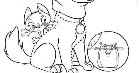 Portal Escuela Dibujo Para Colorear A Un Perro Un Gato Y