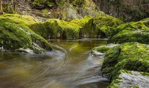 Free Picture Stream Water Landscape Wood River Nature