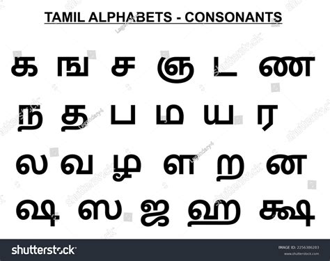 South Indian Language Tamil Alphabets Vowels Stock Vector Royalty Free