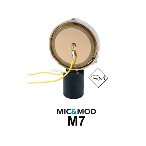 All About The Microphone Capsule Mic And Mod