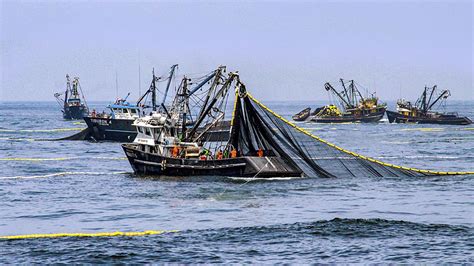 Modifican Reglamento De Ley General De Pesca Para Modernizar Flota Pesquera