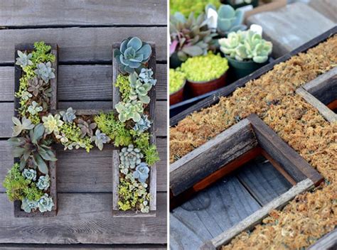 If you like diy picture frames on the wall, you might love these ideas. 14 DIY Succulent Frame Full Of Life For Wall Arrangement