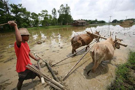 Justice For Myanmars Farmers The Asean Post