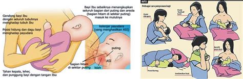 Ngentod sama janda susu montok dan gede. Info ASI Menyusui: Cara Menyusui yang Benar