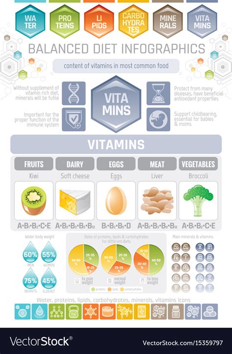Vitamins Diet Infographic Diagram Poster Water Vector Image