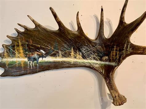 Moose Antler Paintings Steve Kerr Artist