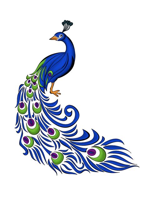 Free Simple Colorful Peacock Drawing Download Free Simple Colorful